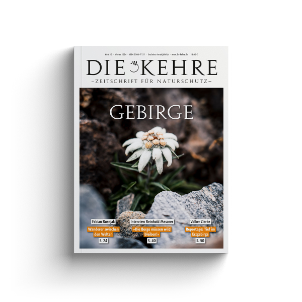 Gebirge | Die Kehre | Heft 20